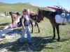 Castelluccio.Monte Vettore 2010_0005.JPG